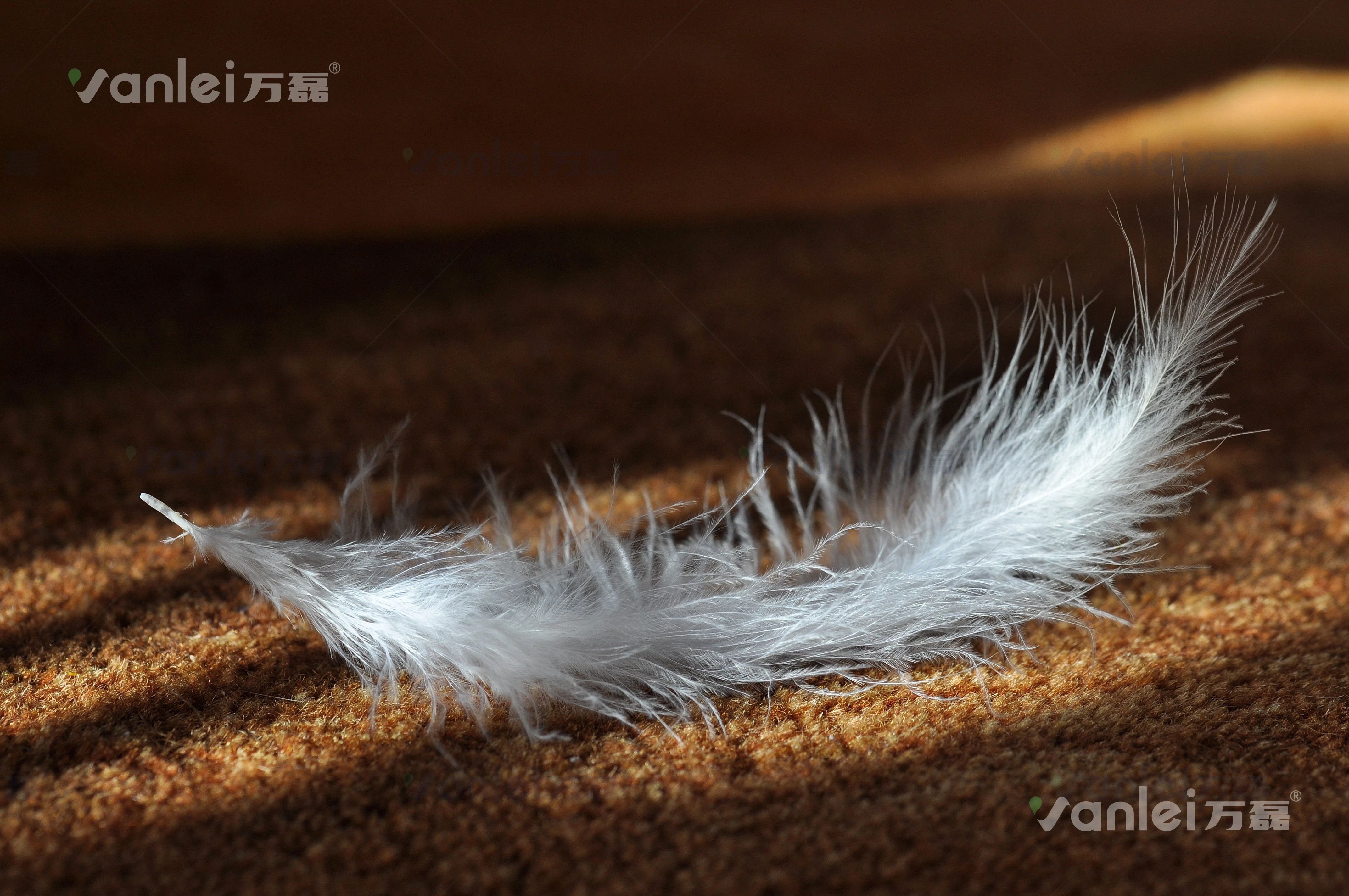 萬磊案例賞析 | 金屬遇上絲絨，尋覓絲質般舒適生活
