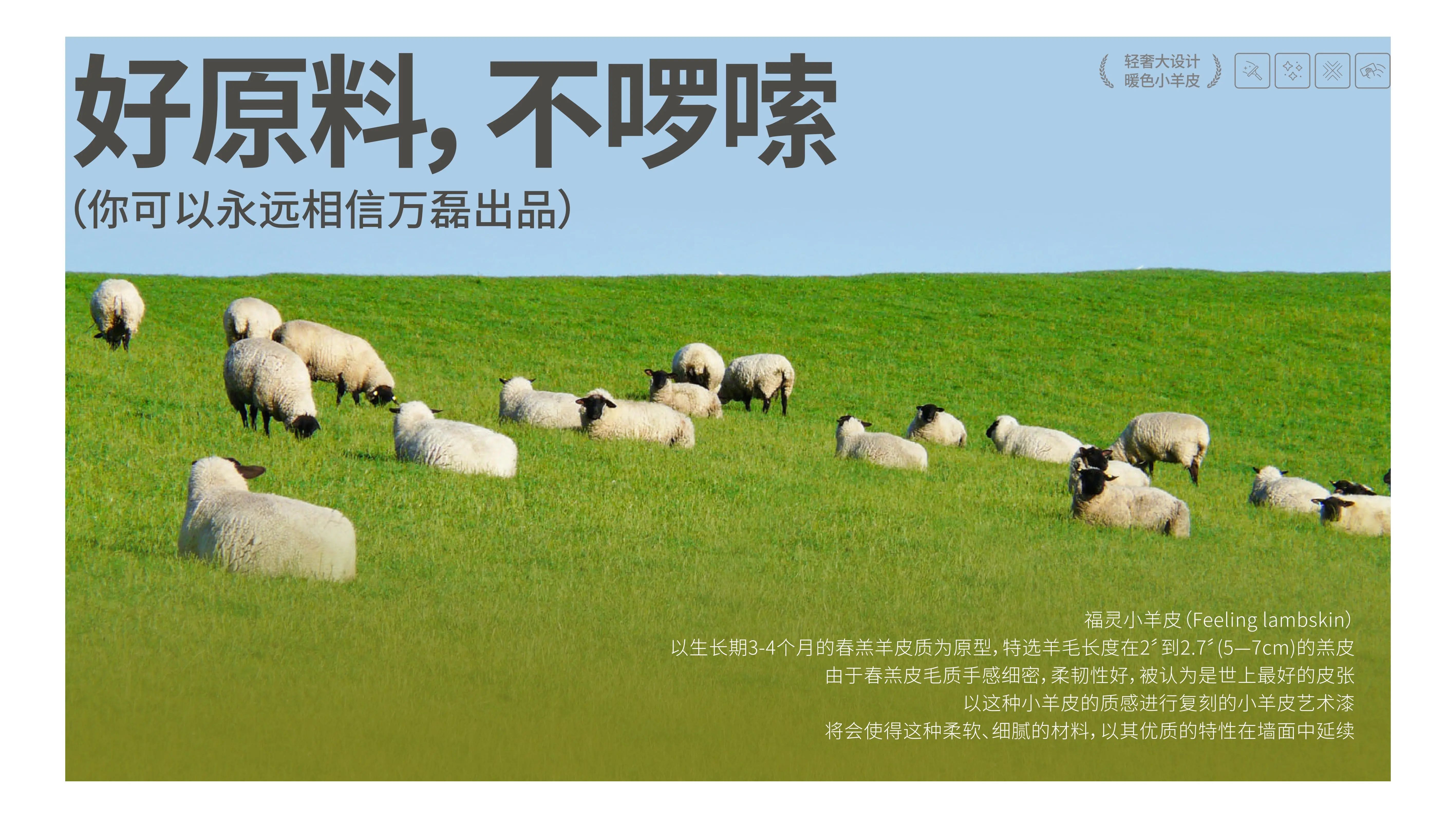 萬磊福靈小羊皮來啦！多樣的表面質(zhì)感等您來解鎖~