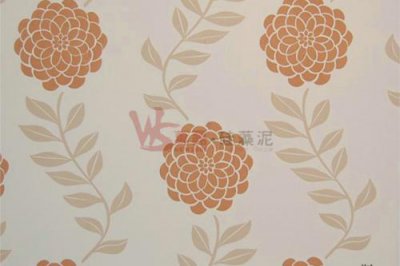 硅藻泥VS乳膠漆哪個(gè)好？