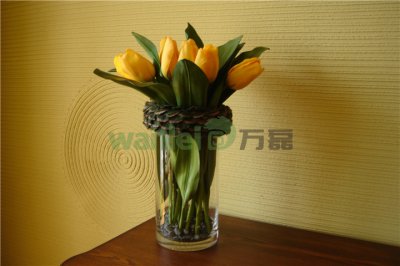 有了硅藻泥，新房入住不再等！