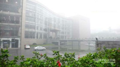 驚蟄過，春雨至，硅藻泥讓你告別濕轆轆